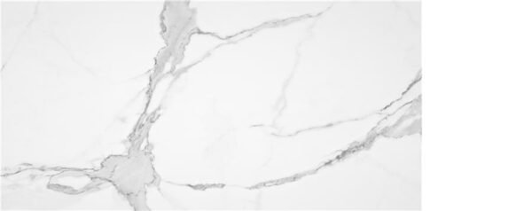 PALLADIO 60X120 RECT. PUL.  : White – Image 1